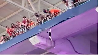 Quick-thinking fans save falling cat at Miami football game