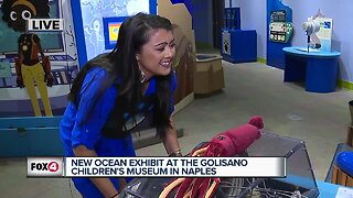 New ocean exhibit at the Golisano Children's Museum offers hands-on education