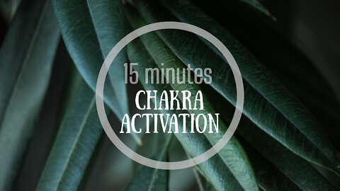 Meditation ~ Powerful Binaural 15 Minutes Meditation, Third Eye Chakra Activation