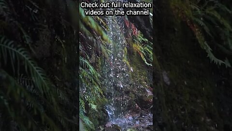 Soothing relaxation Sound of waterfall --- (calm your mind and relax your soul) #relaxation #shorts