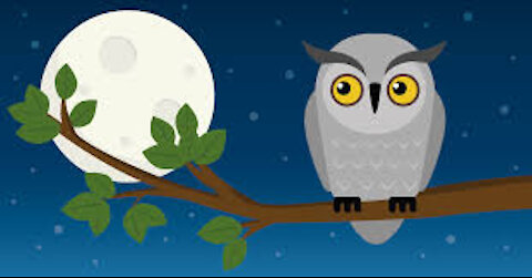 Night Owls - May 6, 2021 - Part 1 and 2