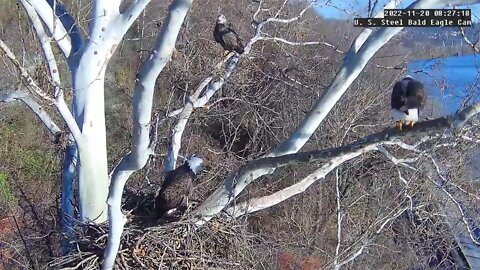 USS Eagles - Nest Intruder Eagle