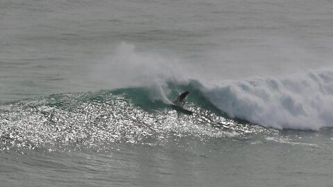 SURFING THE RIGHT OF ULUWATU INTO THE LEFT!?