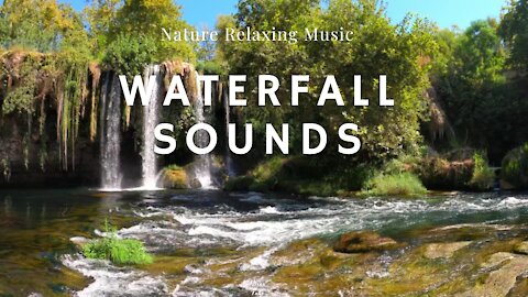 Nature Relax, Waterfall sounds, Bird song