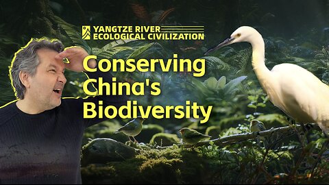 Chongqing's China's Efforts in Conserving Biodiversity