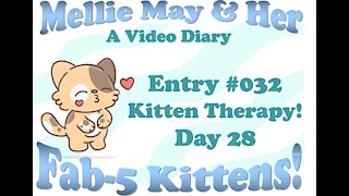 Video Diary Entry 032: Climbing Mountains. Kitten Therapy - Day 28