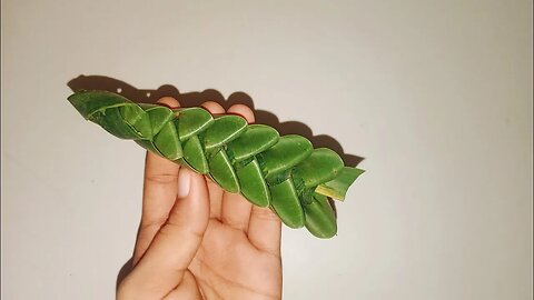 How To Create A Coconut Leaf Craft - craft - Eira's Tube