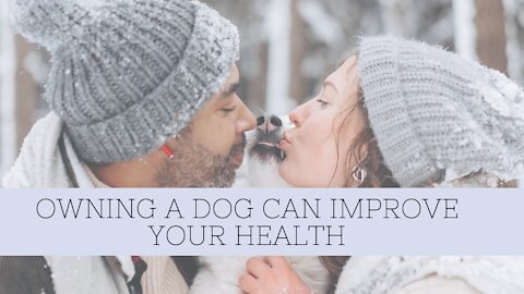 Owning A Dog Can Improve Your Health