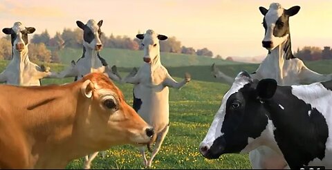 FUNNY COW DANCE 4 │ Cow Dance Song & Cow Videos 2024 Amazing Animals