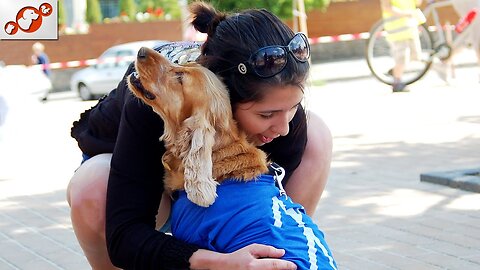 Dogs Meet Owners After A Long Time ❤️ unbreakable bond