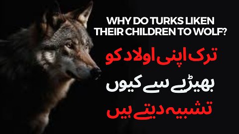 Why do Turks liken their children to wolf?