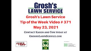 Lawn Care Hagerstown MD Mowing Service