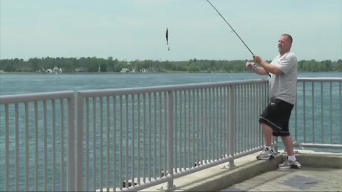 Tests of Black Rock Canal water show high levels of E. coli