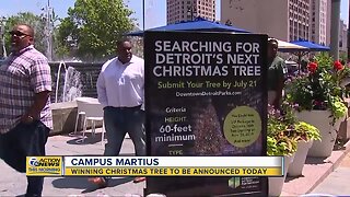 Winning Campus Martius Christmas tree to be announced Thursday