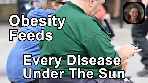 Obesity Feeds Every Disease Under The Sun - Anna Maria Clement, PhD