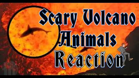 Scary Volcano Animals You Can't Believe Exist OR Can You? Sharks! Punk Rock Parents REACTIONs