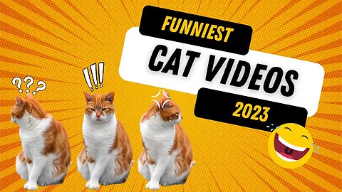 Best Funny Cats & Kittens 2023 #funny #cat #lol #viral #funnyvideos #trynottolaugh