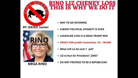 RINO Liz Cheney Loss - "THIS IS WHY WE DO THIS"