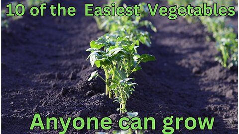 10 of the easiest vegetables anyone can grow