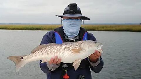 Big Redfish Fun with Tammy