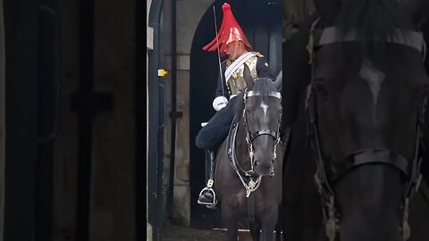 Get back she tries to get her water bottel #horseguardsparade