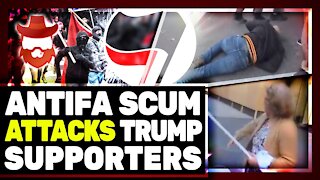 Million Maga March Fallout & Media Protecting Bad Actors!