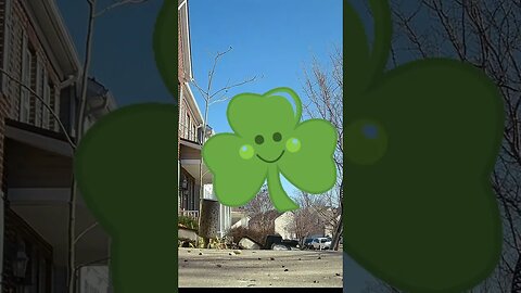 A Shamrock Visits #Shorts ☘