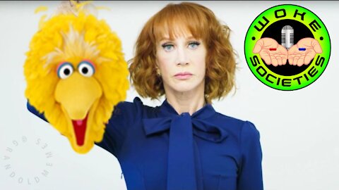 WS#115 Jake Sullivan In Durham's Crosshairs, Rittenhouse Trial Implodes, Big Bird Goes Woke