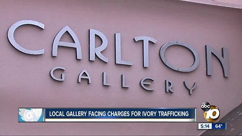 La Jolla gallery facing charges for ivory trafficking