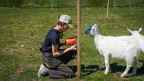 Reorganizing the Enclosures for Goats