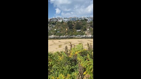 Our office dog is loving his annual holiday to Crantock Beach, Newquay, Cornwall