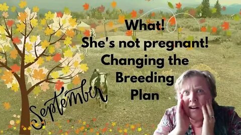 What!!! She's Not Pregnant! ~~Changing the Breeding Plan