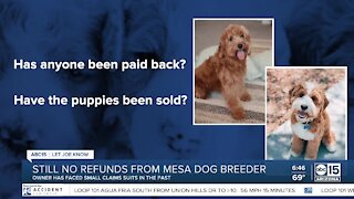 Still no refunds from Mesa dog breeder