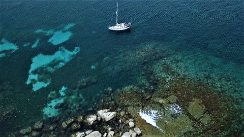 SEAFOOD STUNT PARK We're in Abalone Heaven! - Free Range Sailing Ep 126