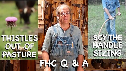 How to Get Thistles Out of Pasture / Scythe Handle Sizing - FHC Q & A