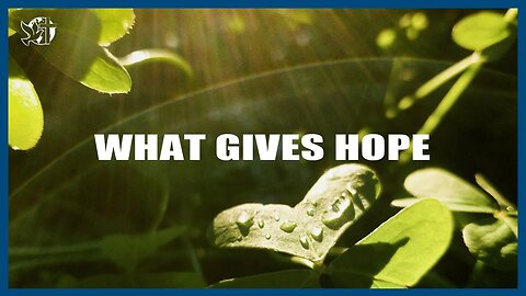 Hungry for God | WHAT GIVES HOPE | Cléo Ribeiro Rossafa