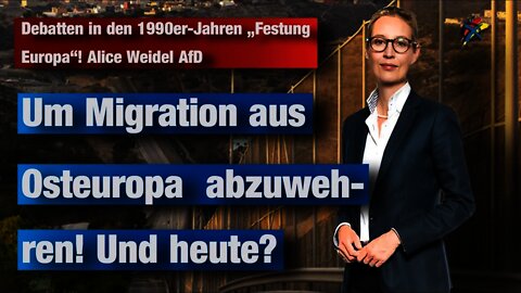 Debatten in den 1990er-Jahren „Festung Europa"! Alice Weidel AfD