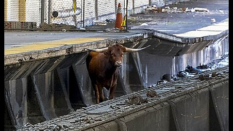 New Jersey Transit Is Full of Bull