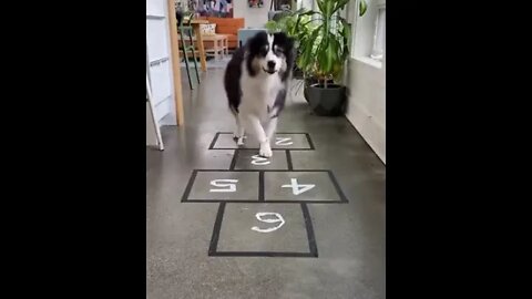 Hopscotch anyone