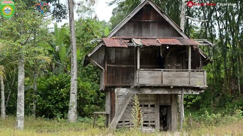 SEDIH !!! DENALI - ANAK UMANG - GITAR TUNGGAL BATANGHARI SEMBILAN SUMATERA SELATAN 1978 PRABUMULIH