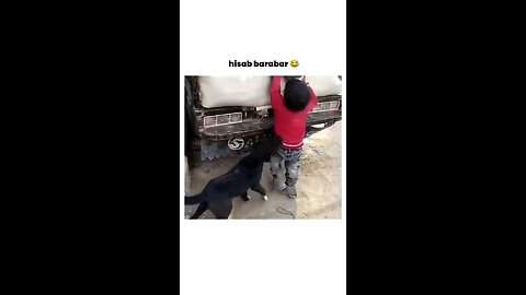 kid bite the dog