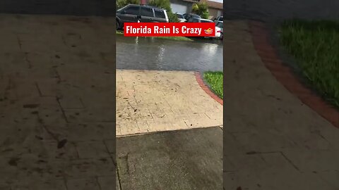 Only in Florida « ! It rained so much that is became flooded #shorts #florida #floods