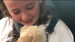 Girl gets puppy and can't contain tears of joy