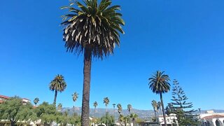 Amtrak stop in Santa Barbara