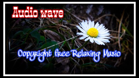 Royalty free background relaxing Indian instrumental music