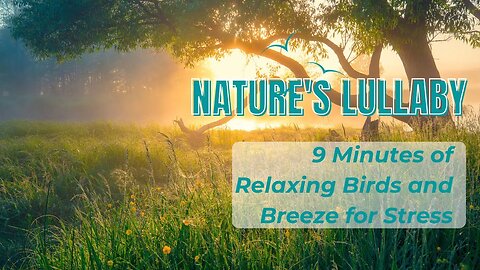 Nature's Lullaby: Relaxing Birds and Breeze for Stress, Relief, #NatureSounds, #BirdsAndBreeze,