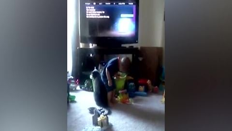 A Little Boy Sits On A Cat