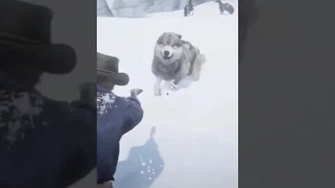 Ataque de Lobos - Read Dead Redemption 2 - Wolves attack