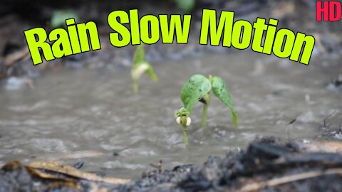 Rain Slow Motion Video