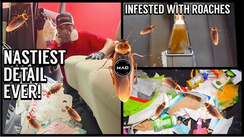 Super Cleaning The Nastiest ROACH Infested Repo SUV | Insane Satisfying Car Detailing Transformation